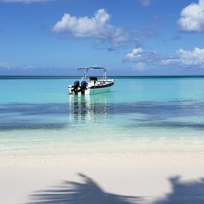 Small Group: Saona Island Full Day Tour