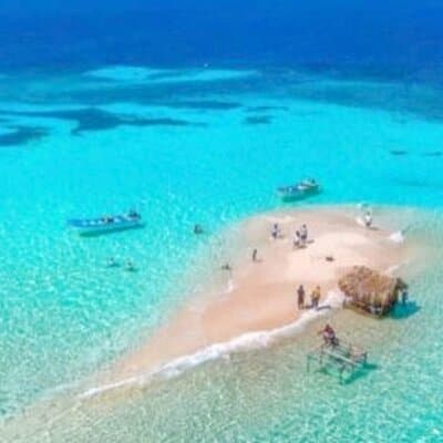 Amazing Paradise Island + Snorkeling-Mangrove Tour & Locale Food.